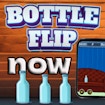 Bottle Flip Acum